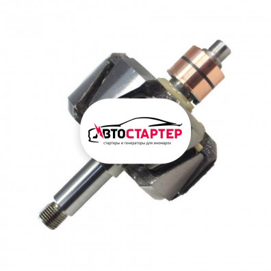 Фото 1 - Ротор генератора AVB0948 (131948)